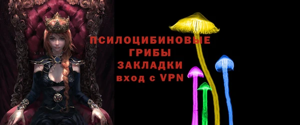 амф Надым