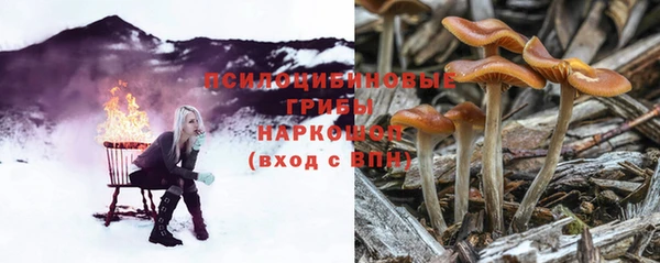 амф Надым