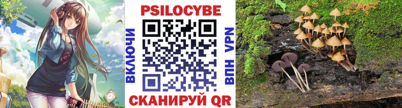 где можно купить наркотик  Шарья  Галлюциногенные грибы MAGIC MUSHROOMS 